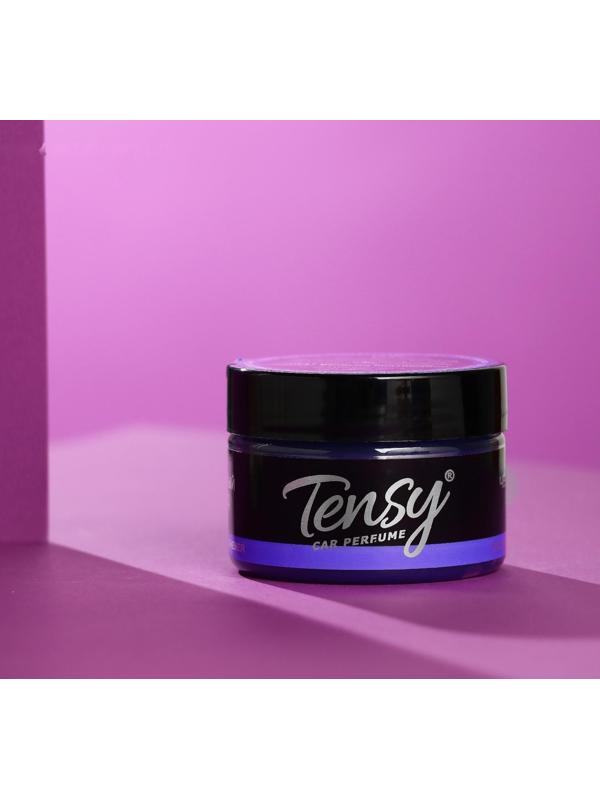 Ароматизатор Tensy баночка в подстаканник, Черный лед TZ-01