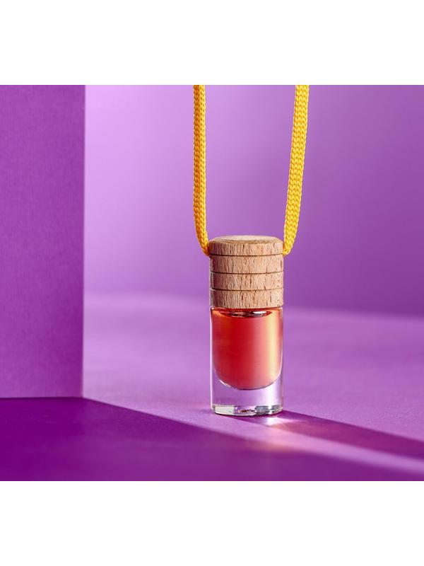 Ароматизатор Tensy в бутылочке 6 мл, Арбуз ТВ-06