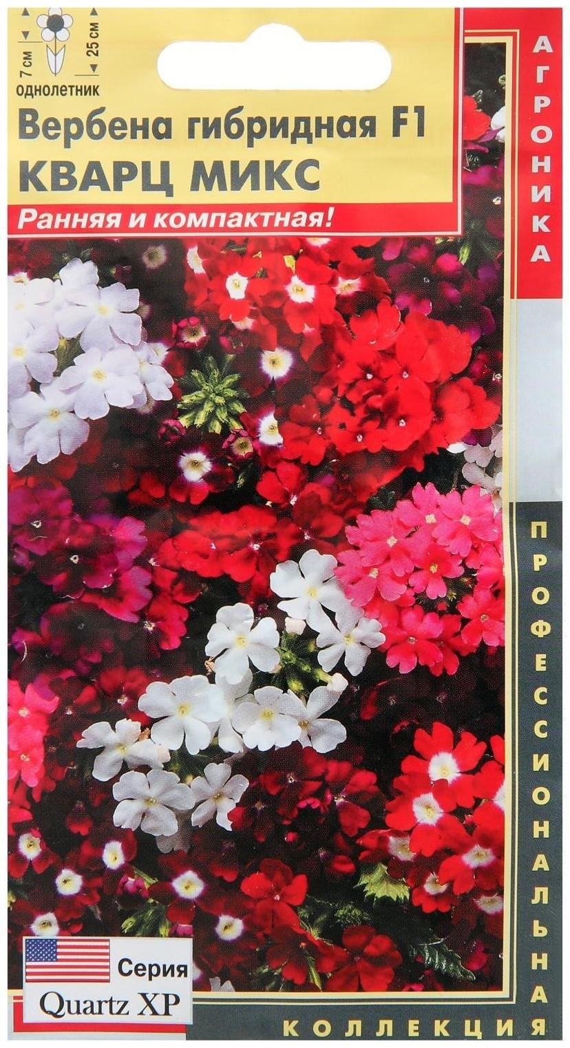 Семена цветов Вербена гибридная F1 