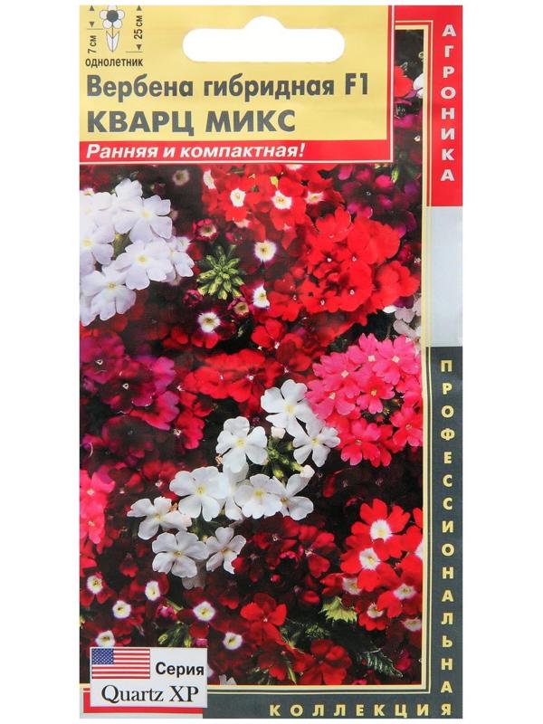 Семена цветов Вербена гибридная F1 