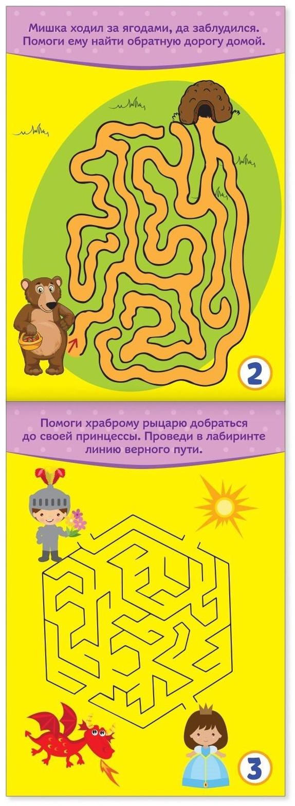 Блокнот IQ «Лабиринты и путаницы»: 28 заданий, 36 стр.