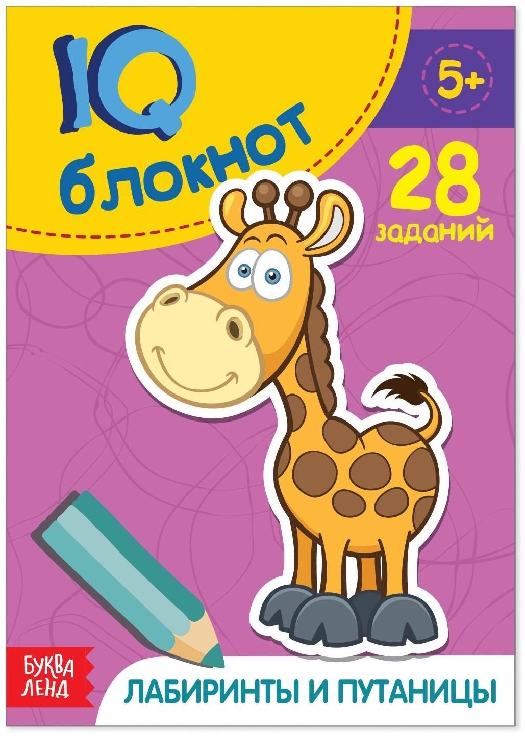Блокнот IQ «Лабиринты и путаницы»: 28 заданий, 36 стр.