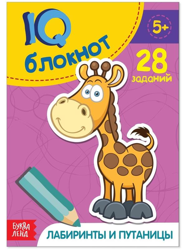 Блокнот IQ «Лабиринты и путаницы»: 28 заданий, 36 стр.