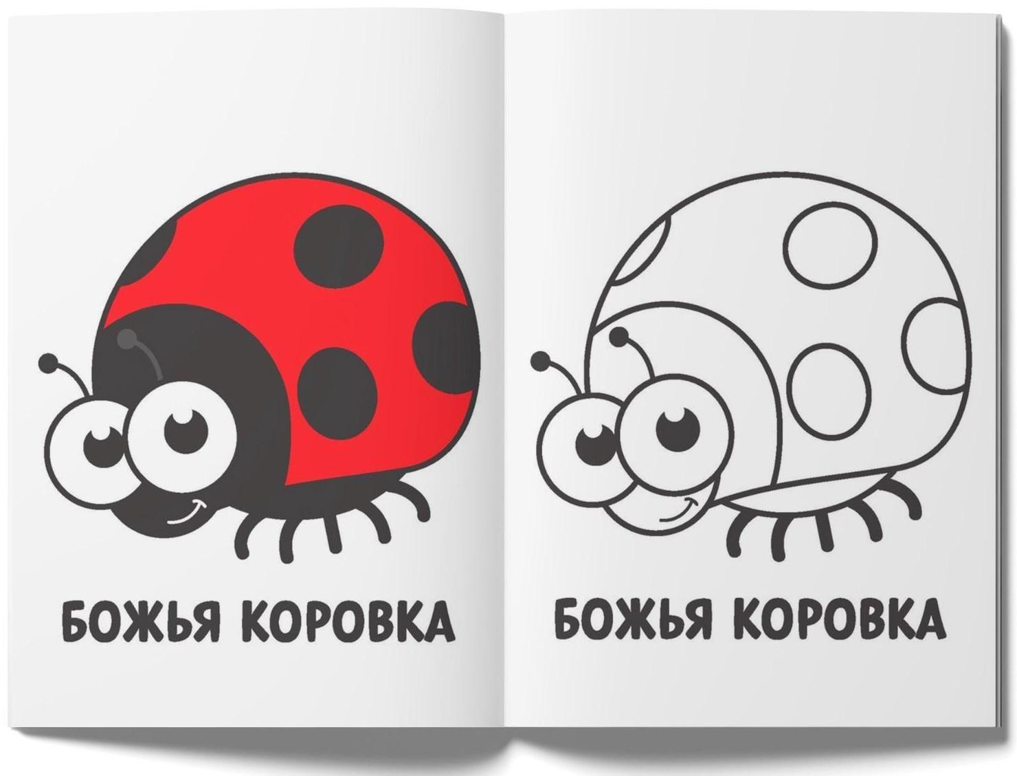 Раскраски набор «Мои первые раскраски», 12 шт. по 16 стр.