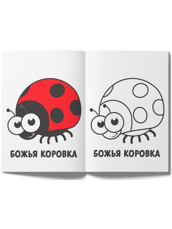 Раскраски набор «Мои первые раскраски», 12 шт. по 16 стр.