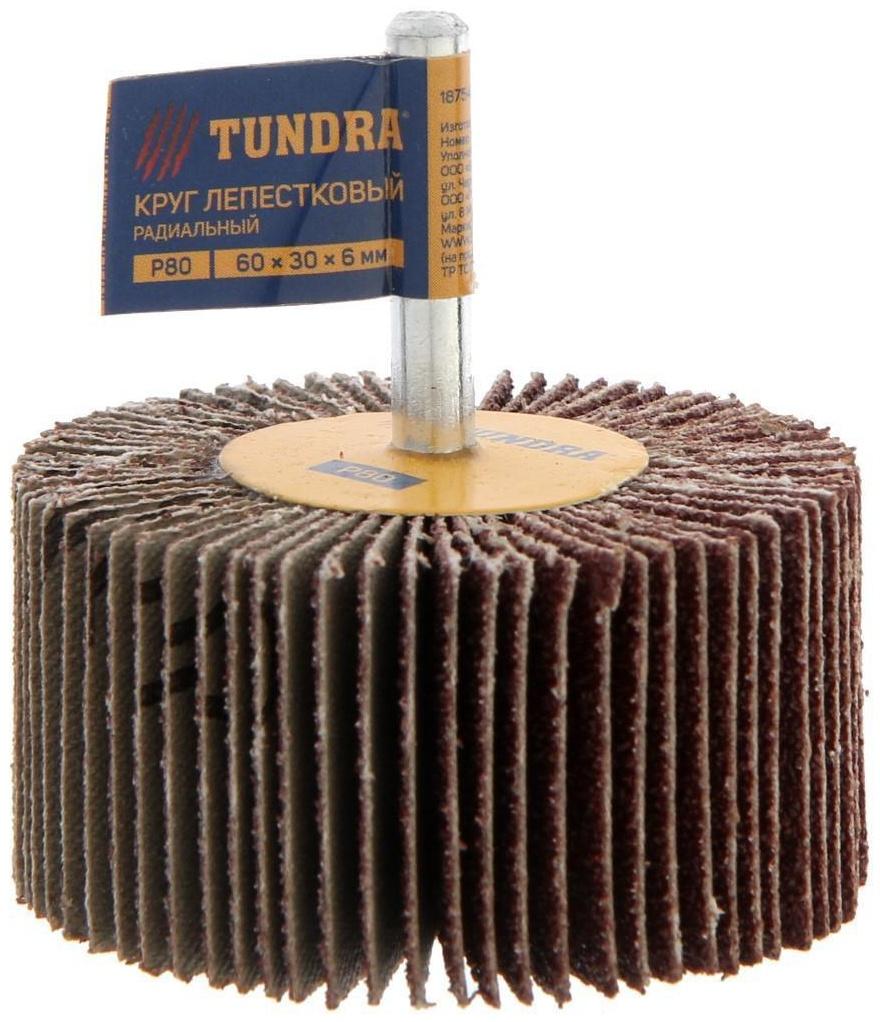Круг лепестковый радиальный ТУНДРА, 60 х 30 х 6 мм, Р80