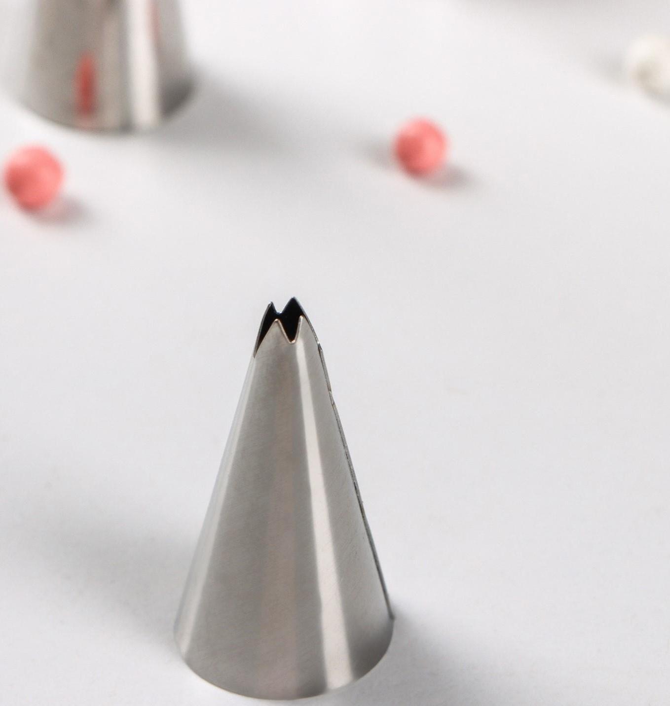 Набор насадок кондитерских Доляна, d=1,7 см, 6 шт, форма МИКС