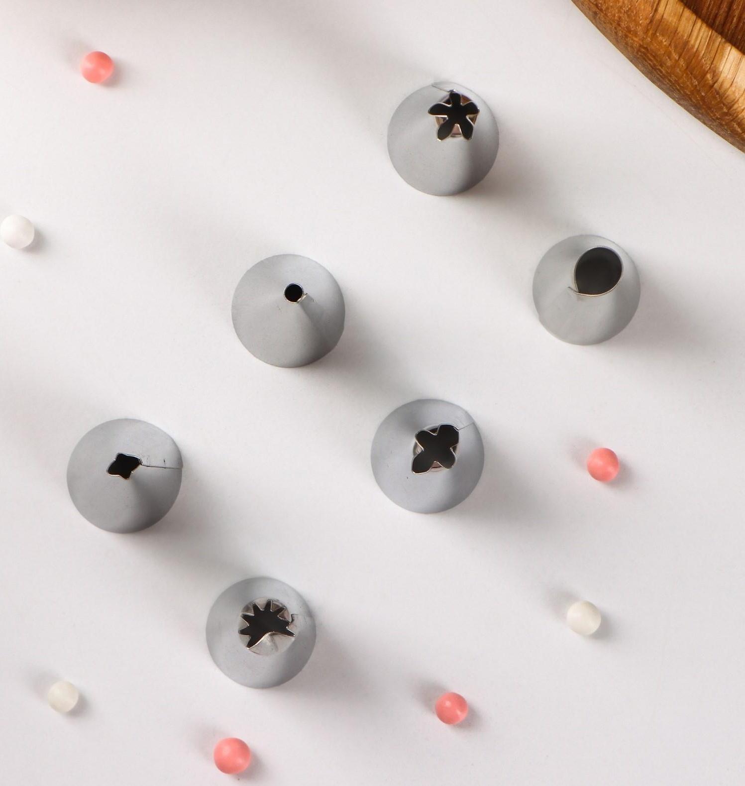 Набор насадок кондитерских Доляна, d=1,7 см, 6 шт, форма МИКС