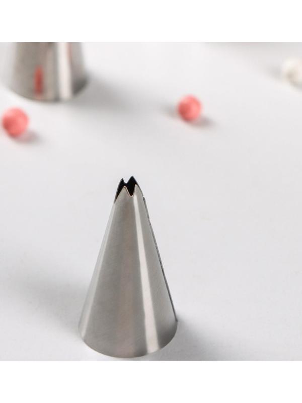 Набор насадок кондитерских Доляна, d=1,7 см, 6 шт, форма МИКС