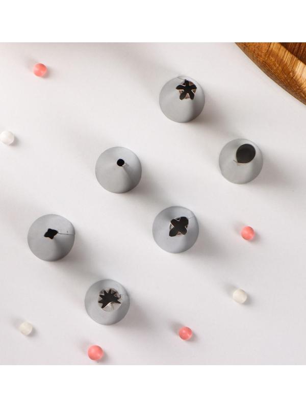 Набор насадок кондитерских Доляна, d=1,7 см, 6 шт, форма МИКС