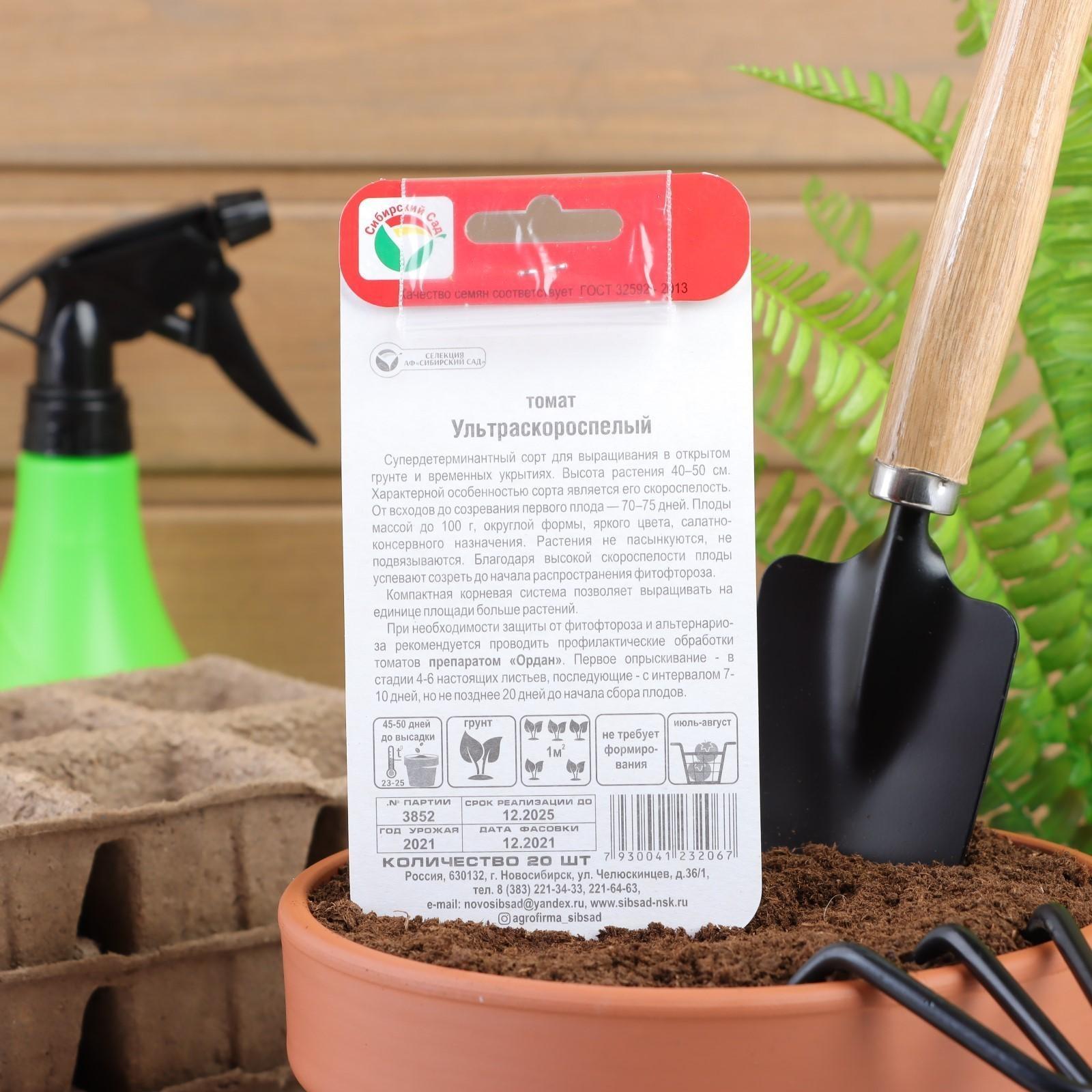 Семена Томат 