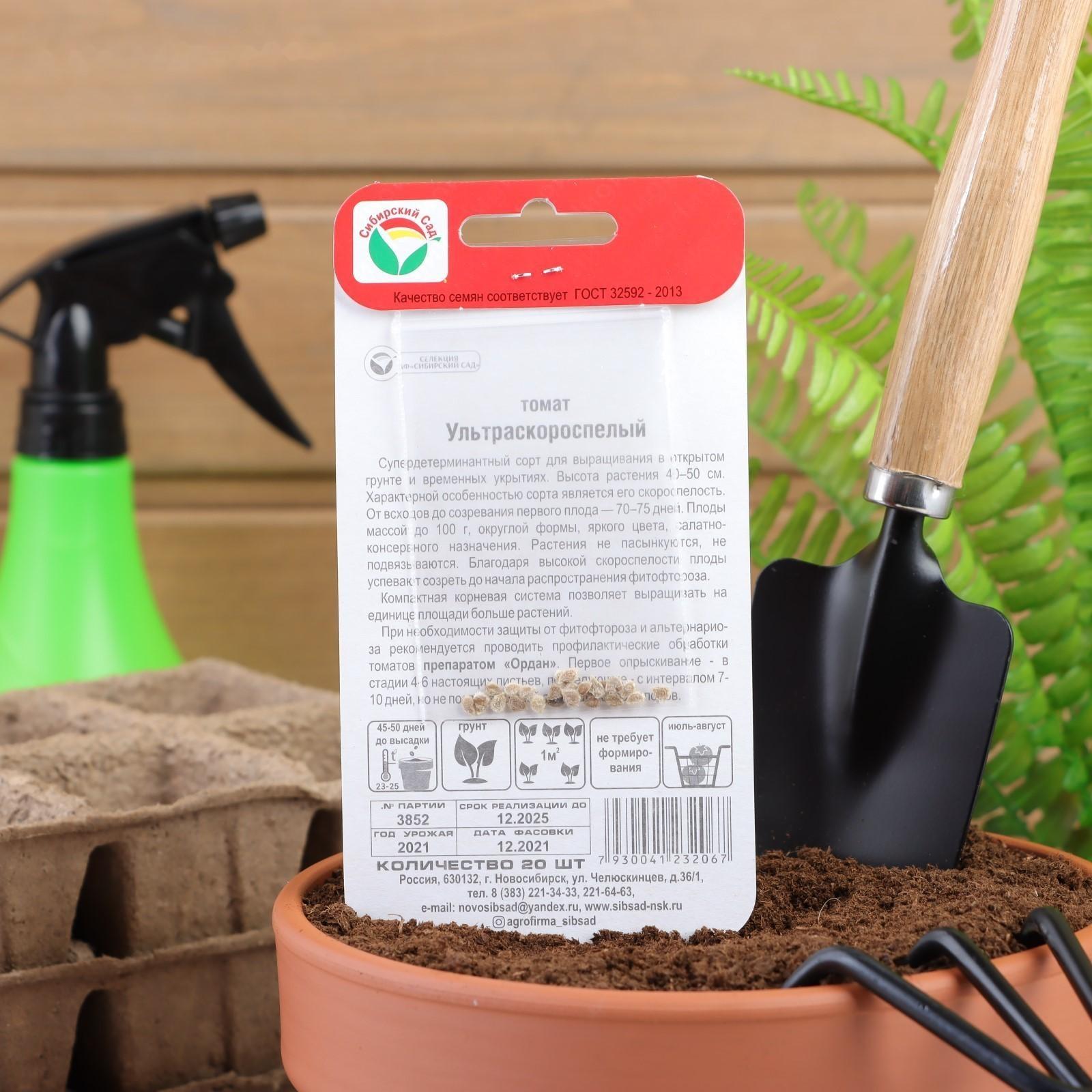 Семена Томат 