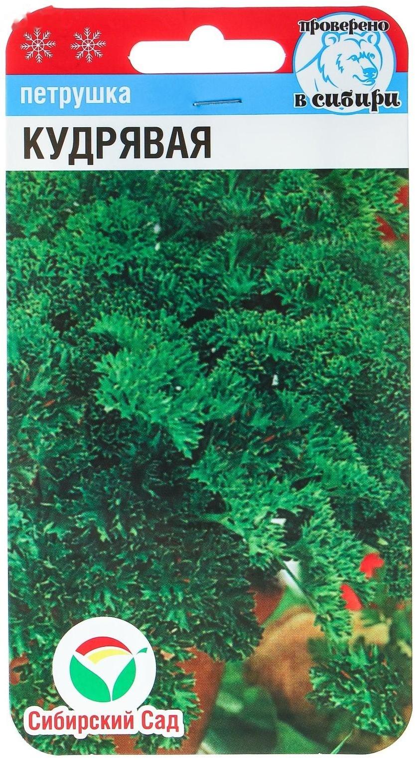 Семена Петрушка 