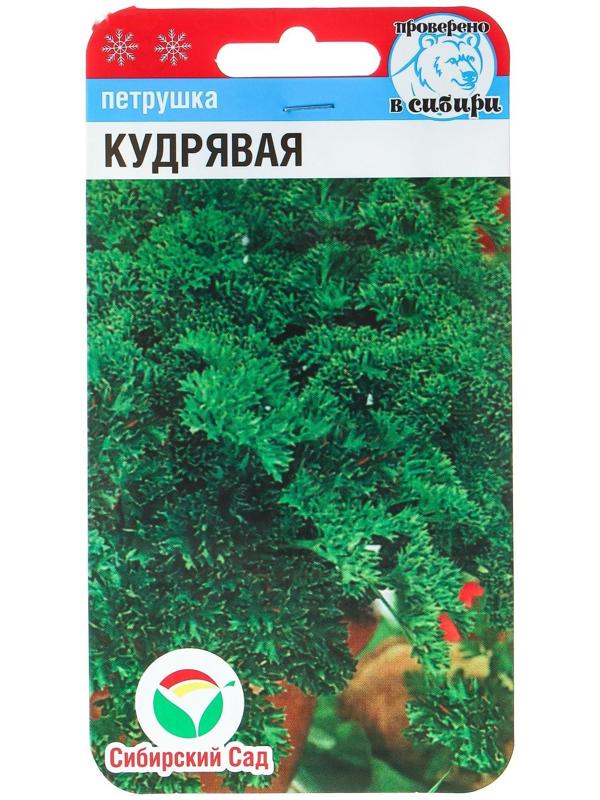 Семена Петрушка 