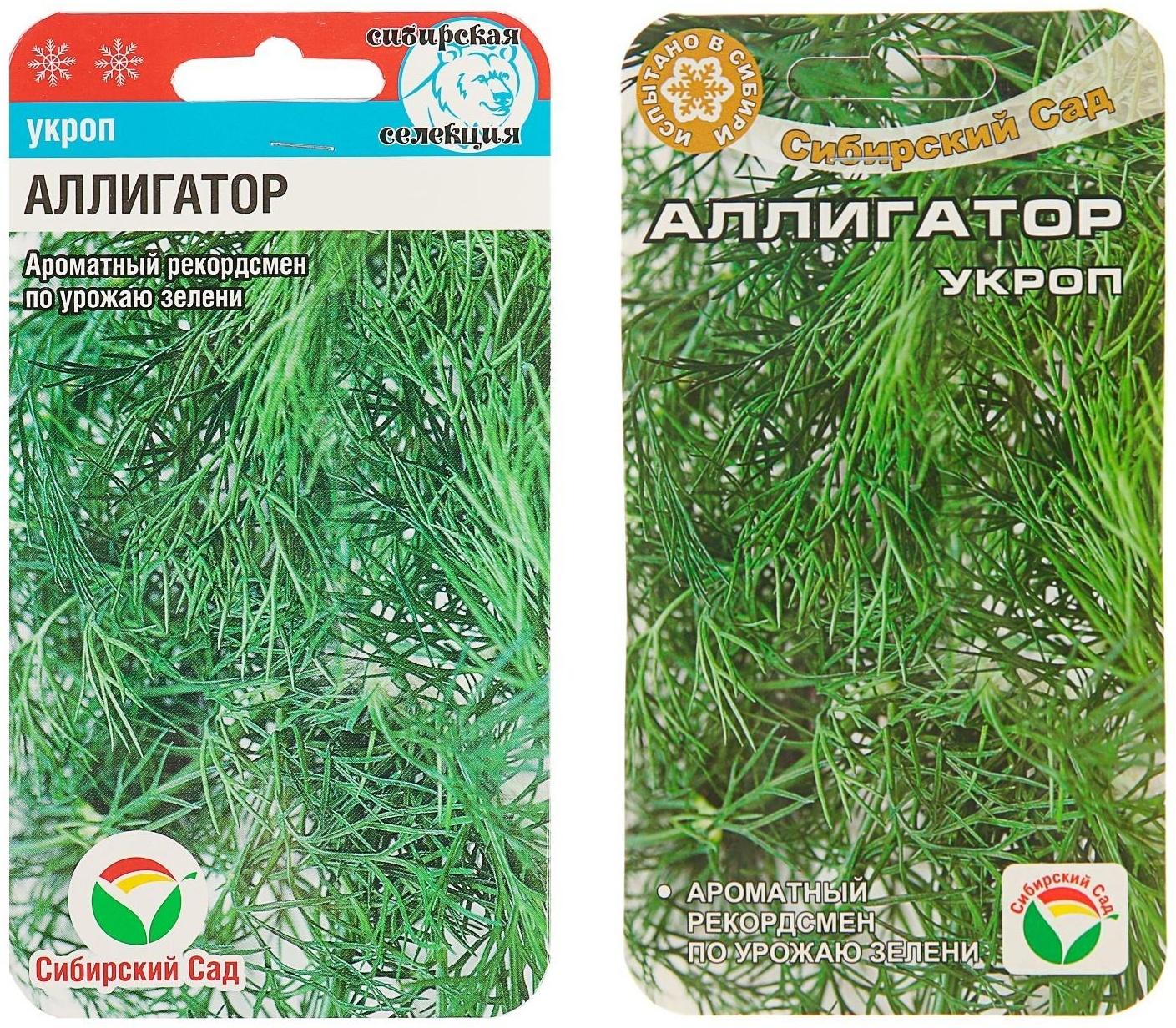 Семена Укроп 