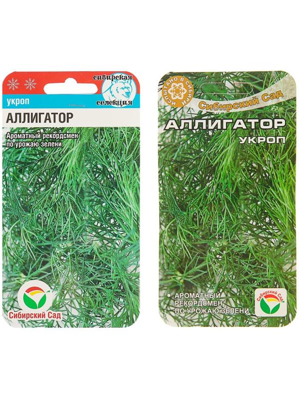 Семена Укроп 