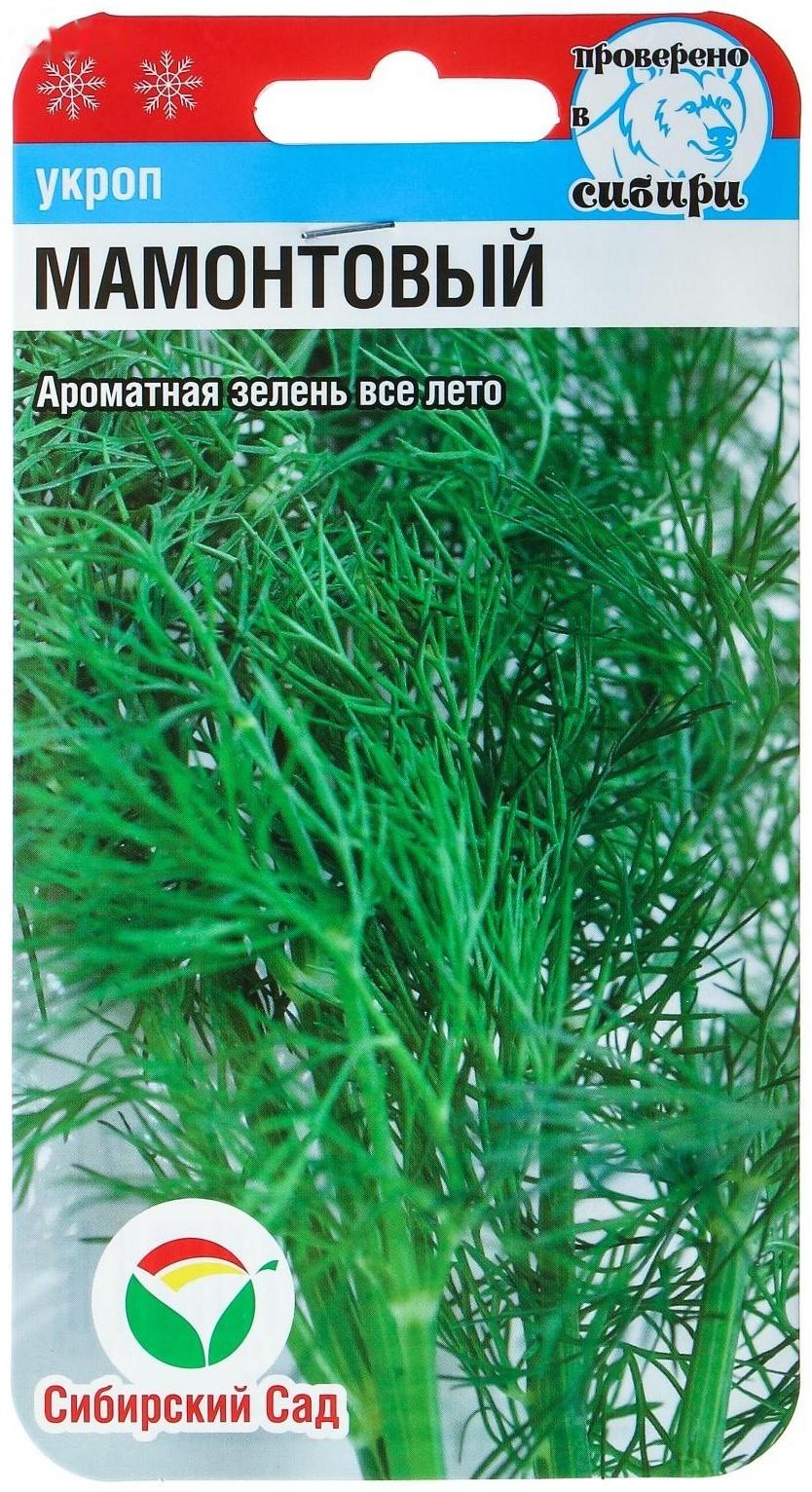 Семена Укроп 