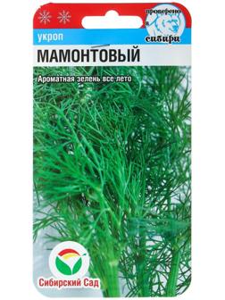 Семена Укроп 