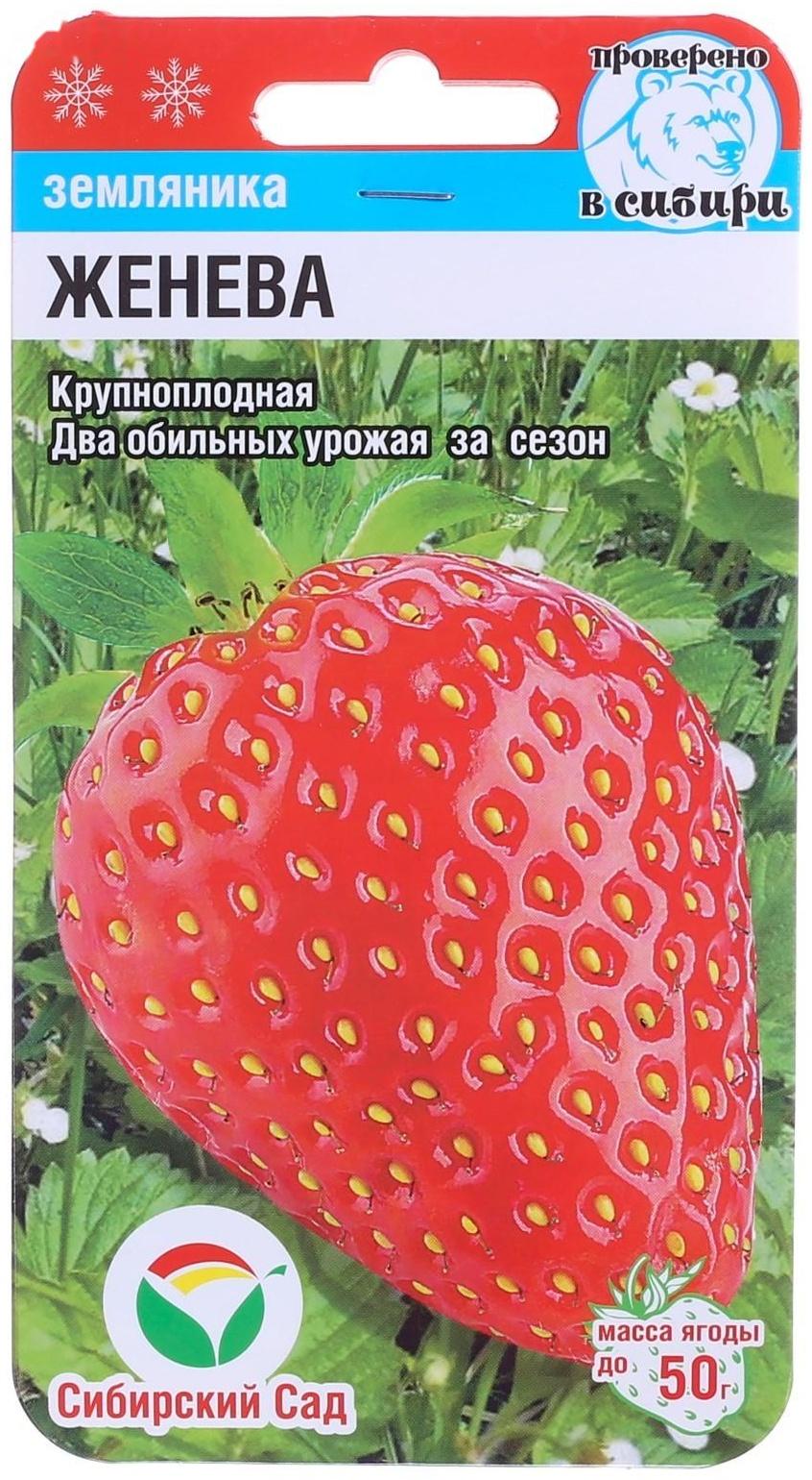 Семена Земляника 