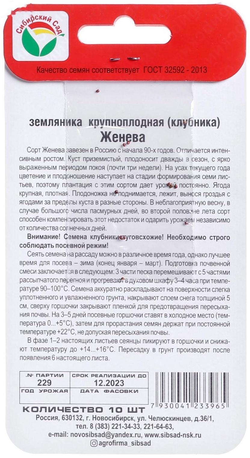 Семена Земляника 