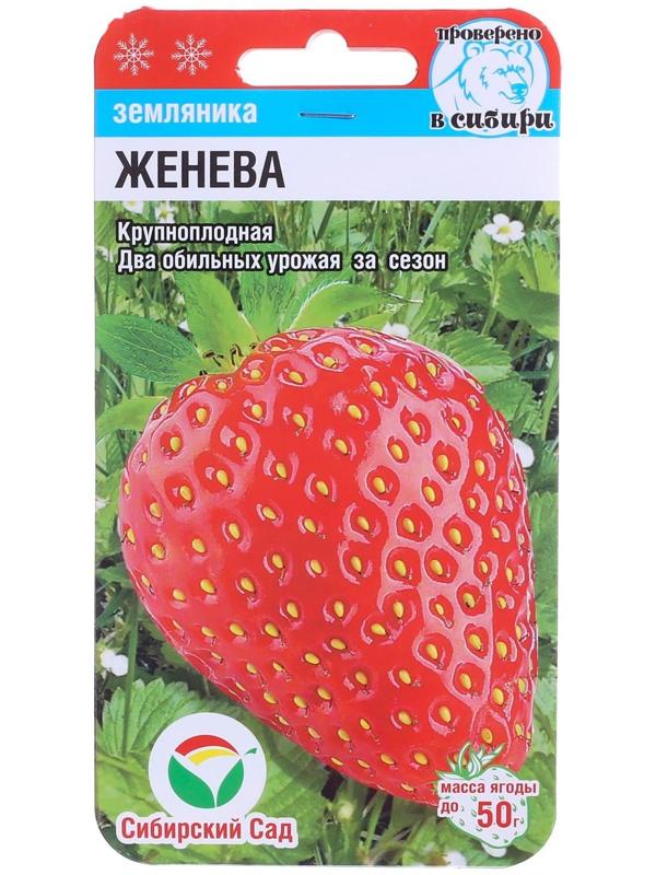 Семена Земляника 