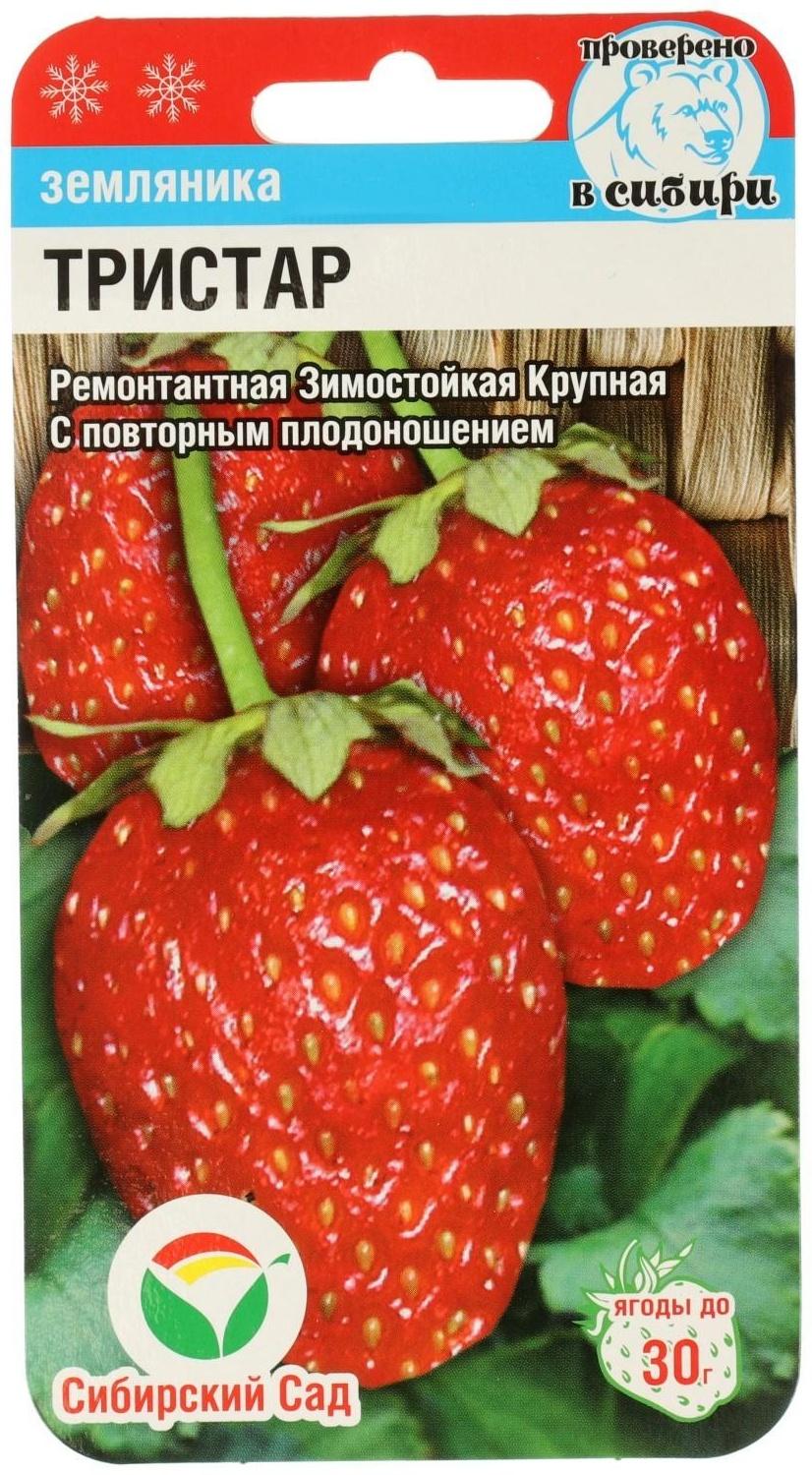 Семена Клубника 