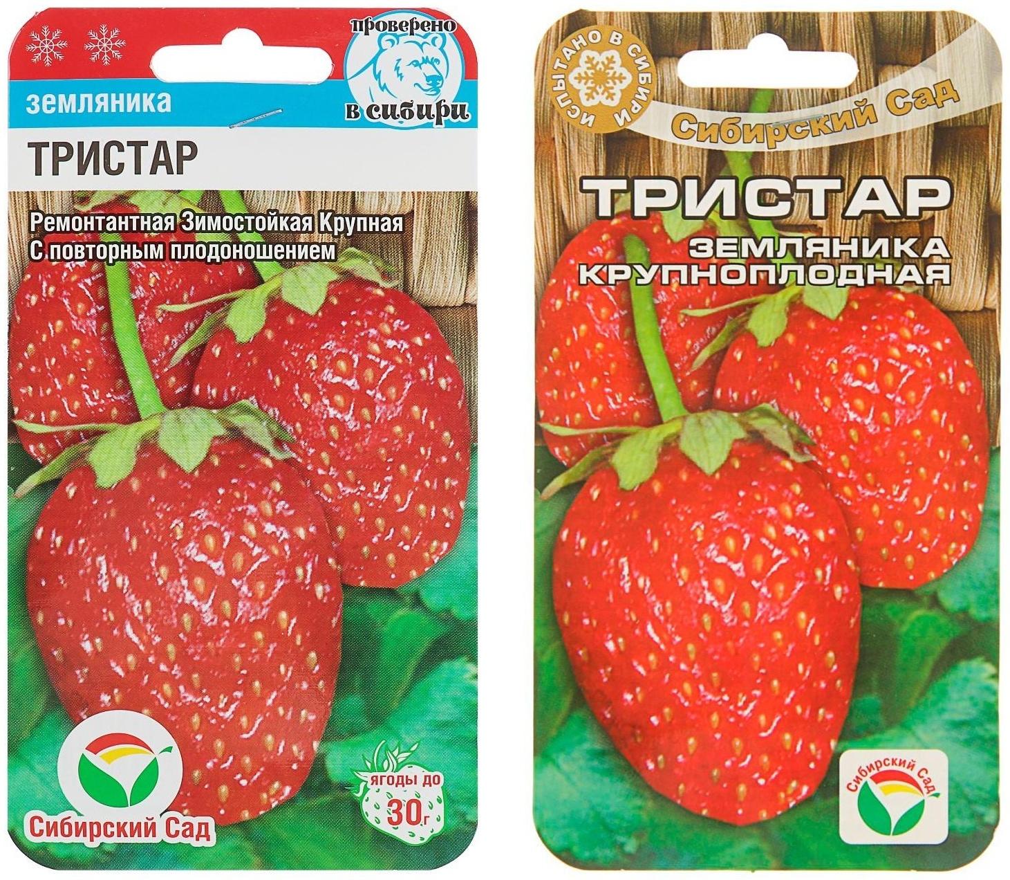 Семена Клубника 