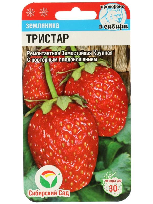 Семена Клубника 