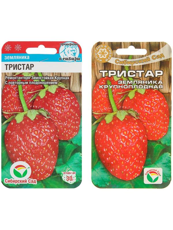 Семена Клубника 