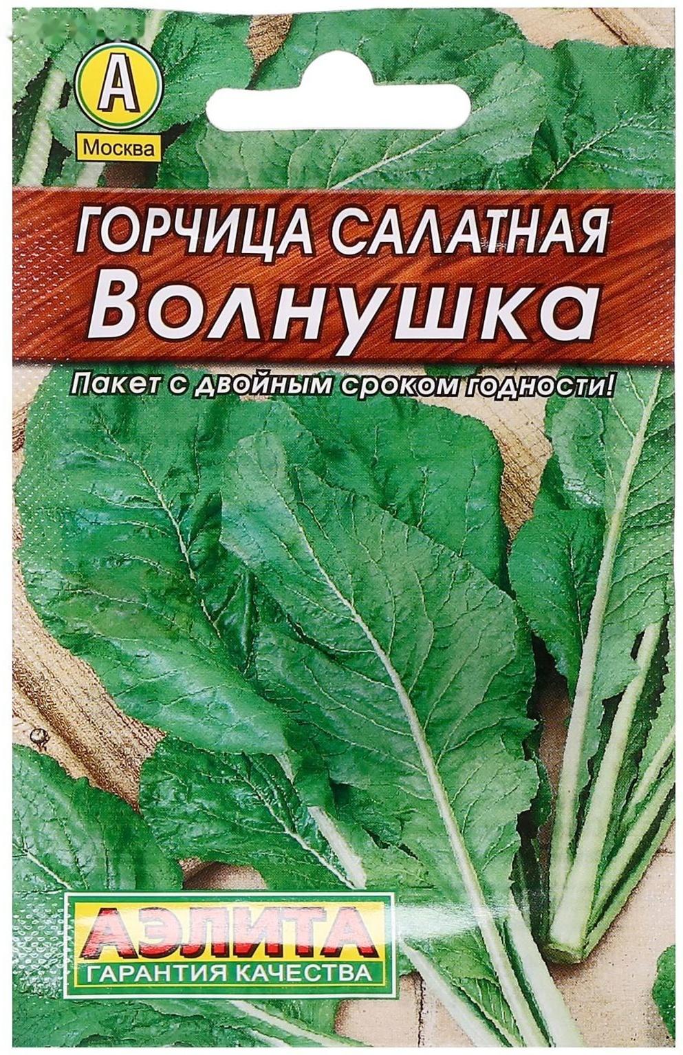 Семена  Горчица салатная 