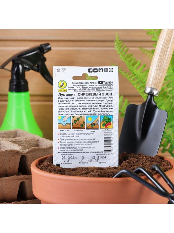 Семена Лук шнитт 