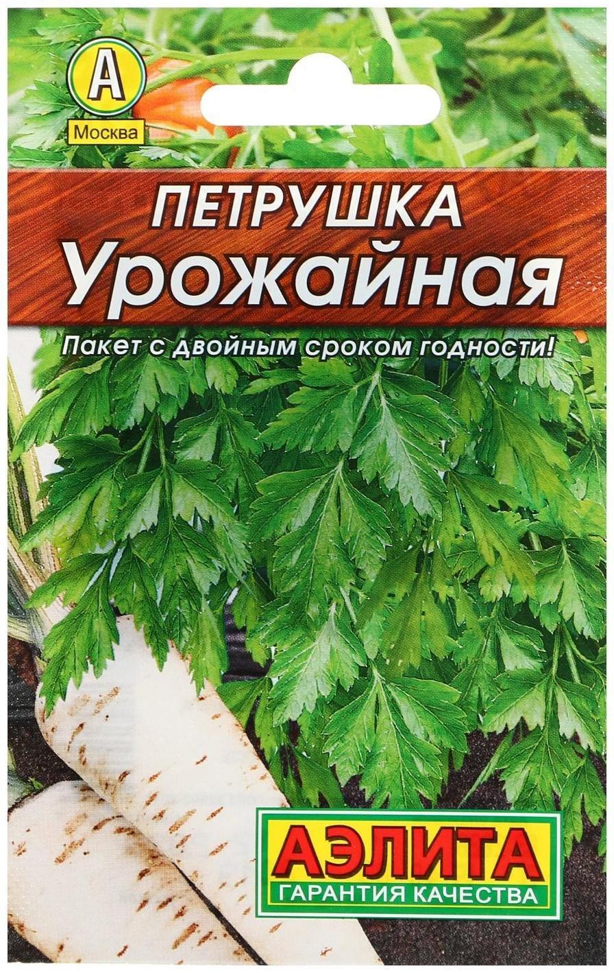 Семена Петрушка корневая 