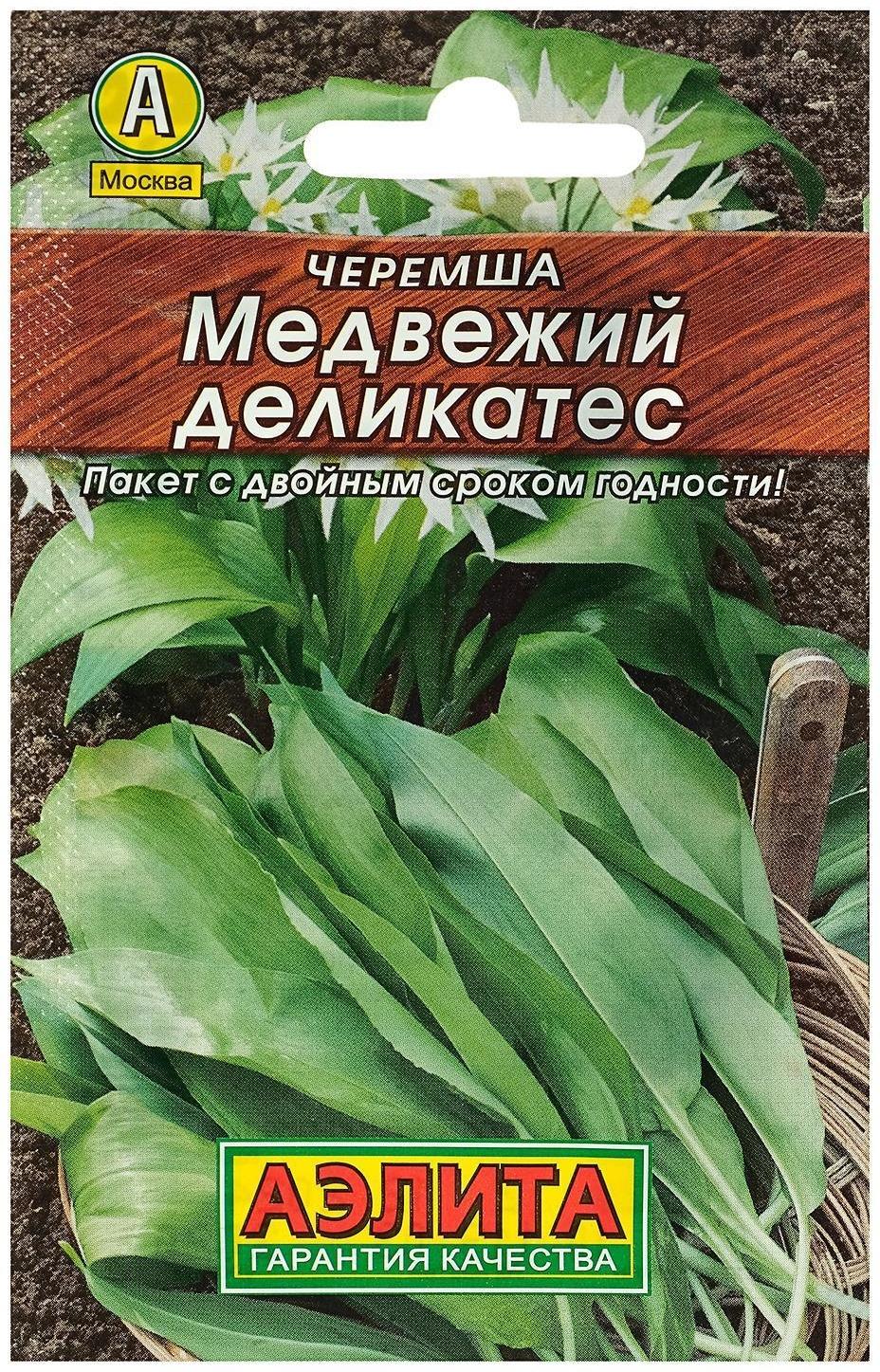 Семена Черемша 