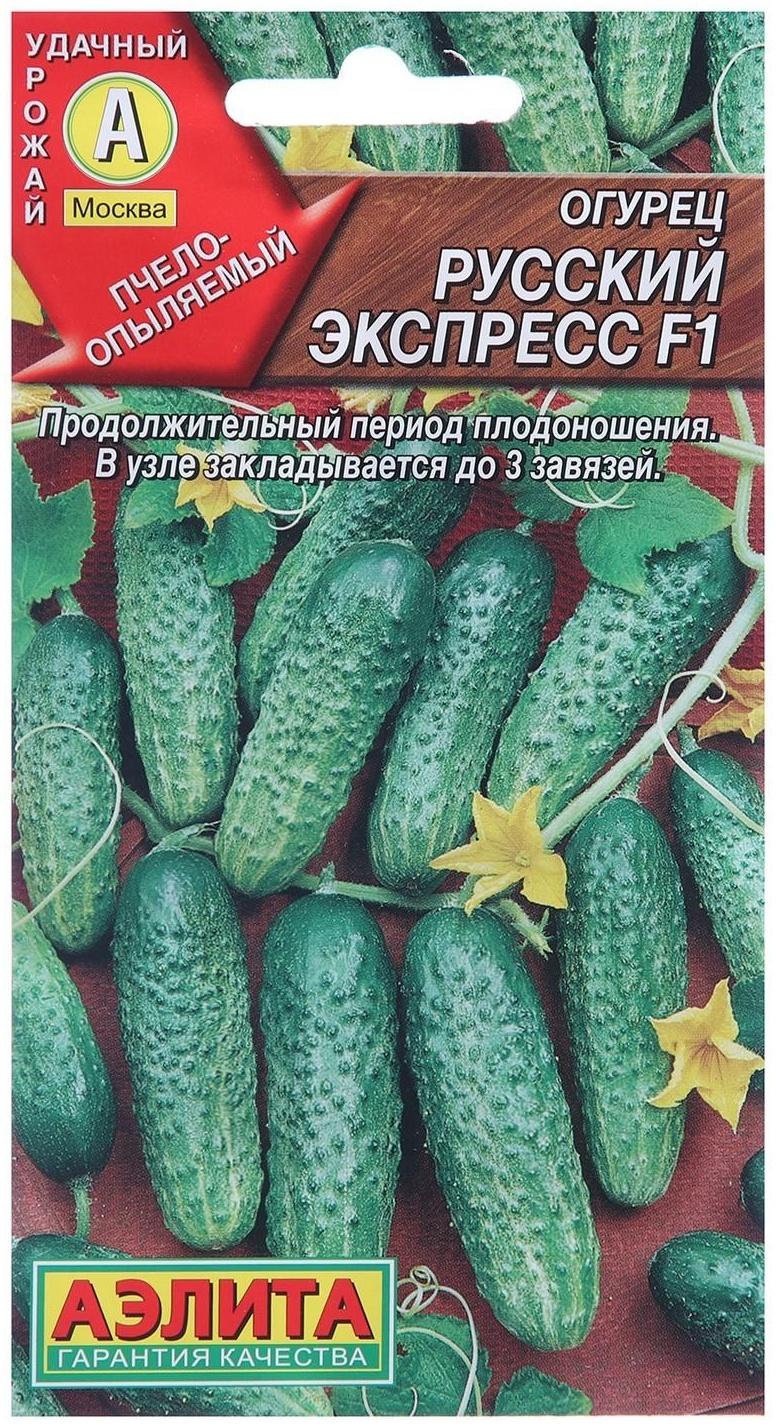 Семена Огурец 