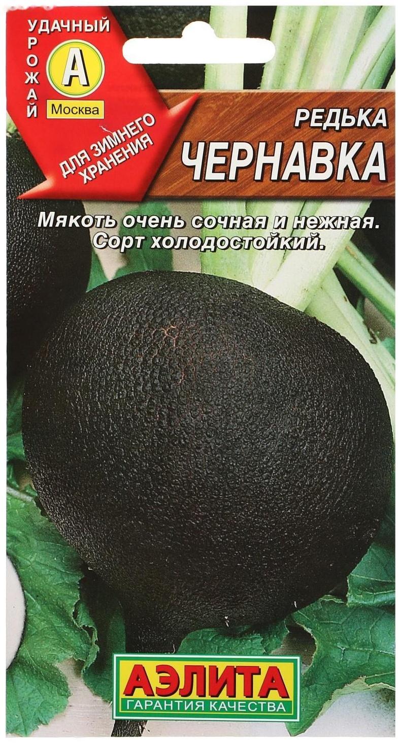 Семена Редька 