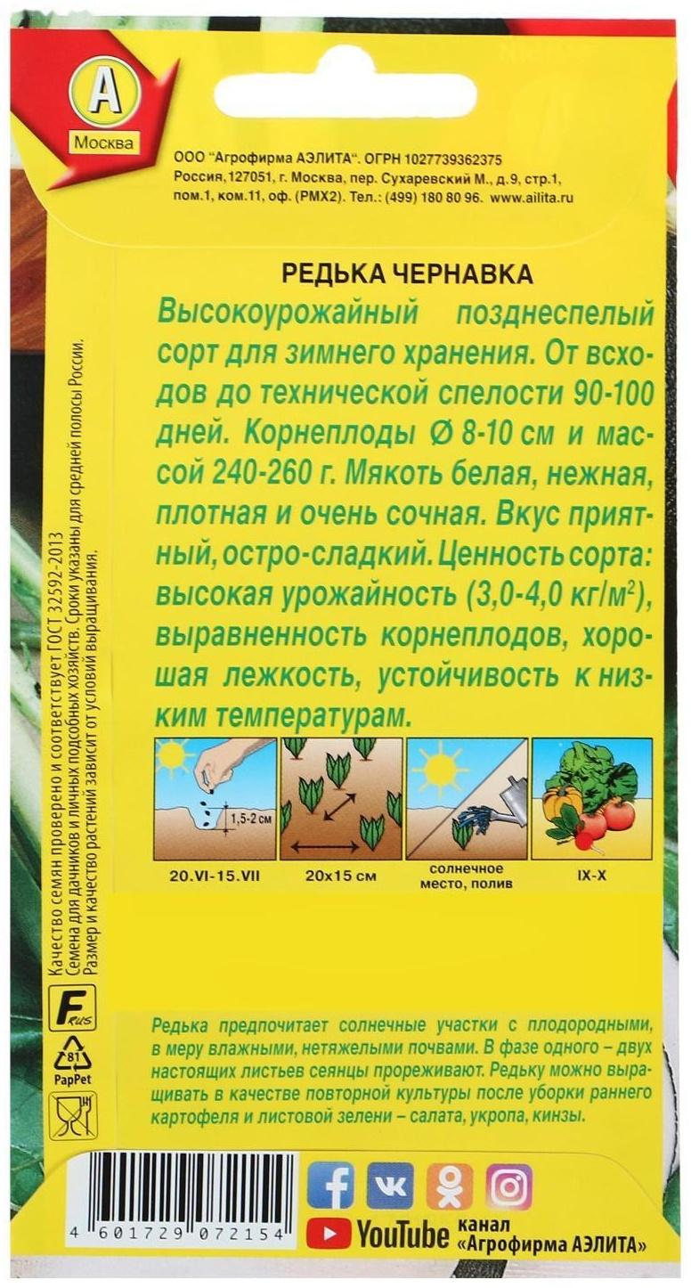 Семена Редька 