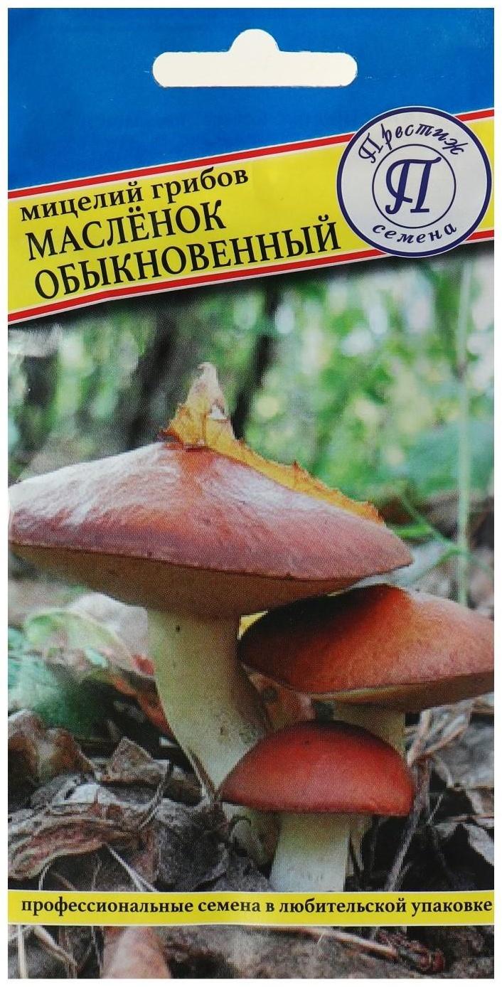 Мицелий грибов Маслёнок обыкновенный, 50 мл