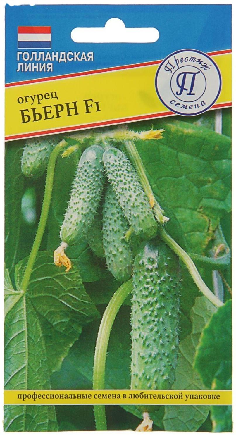 Семена огурца 