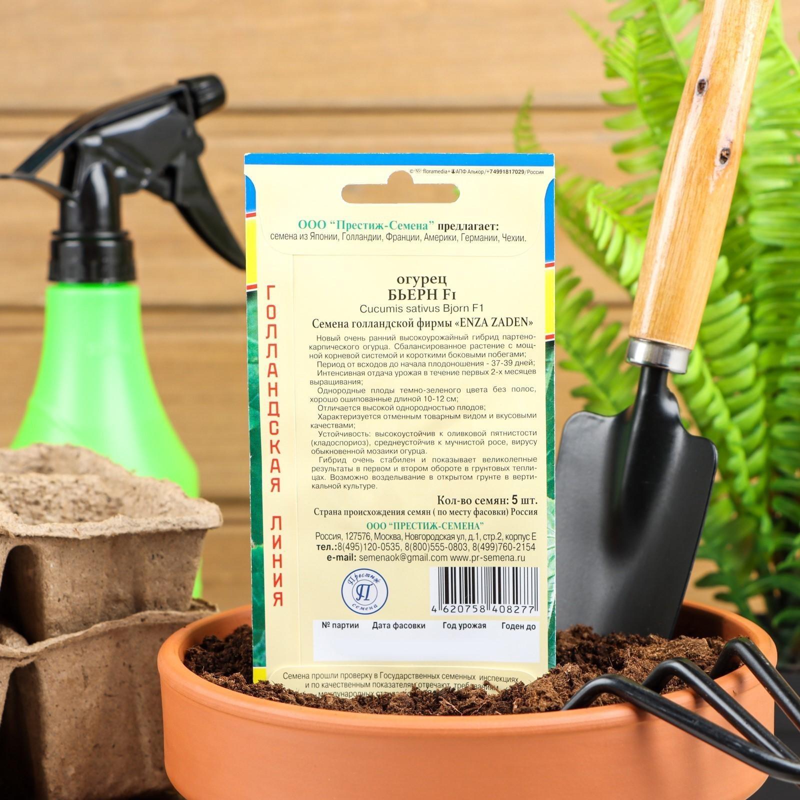 Семена огурца 