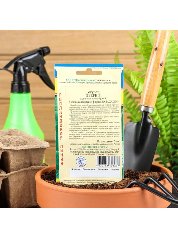 Семена огурца 