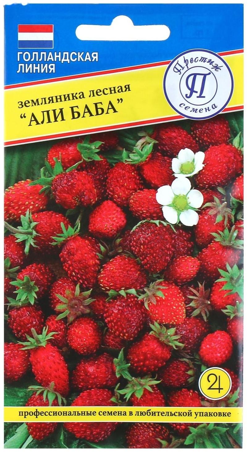 Семена Земляника 