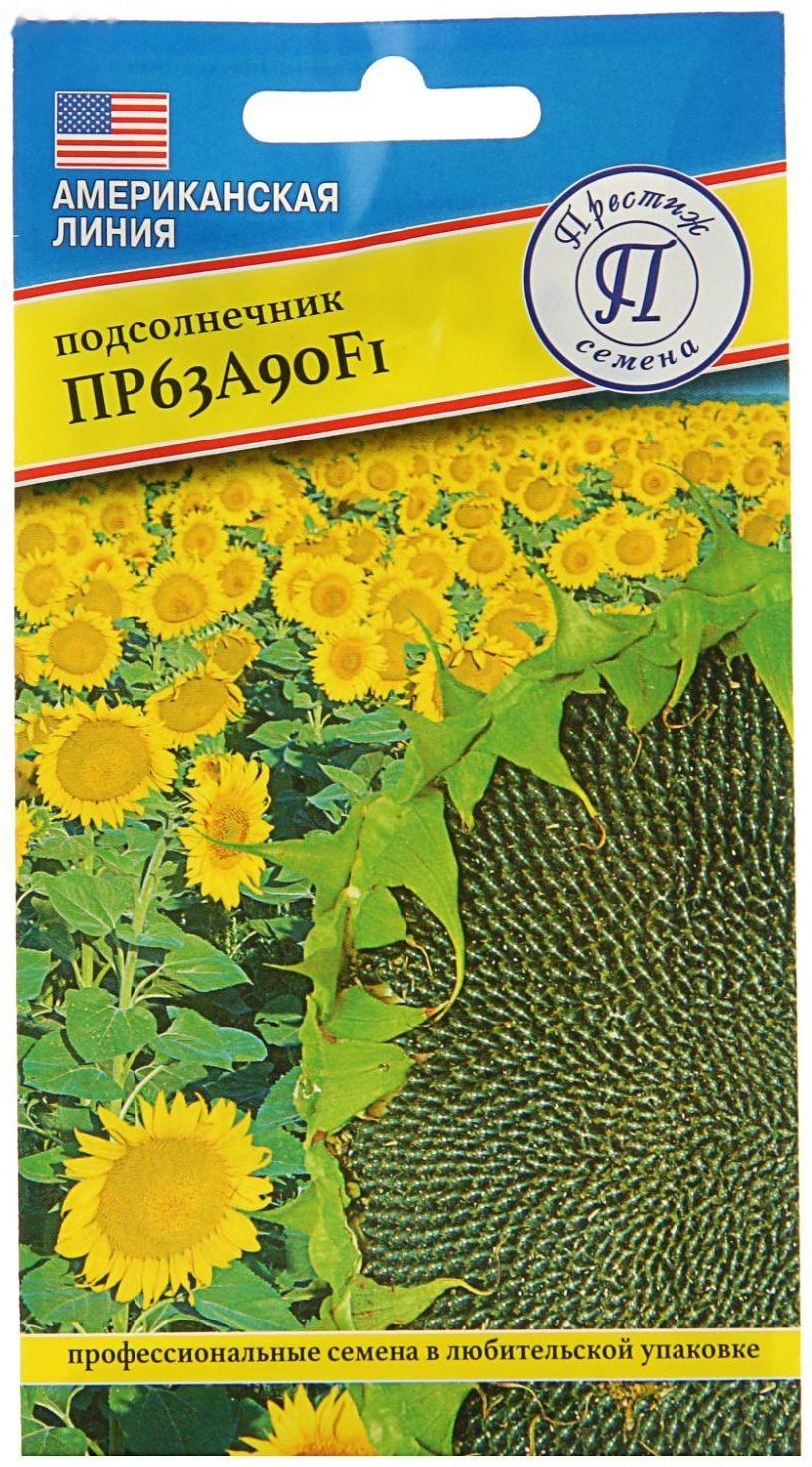 Семена Подсолнечник 