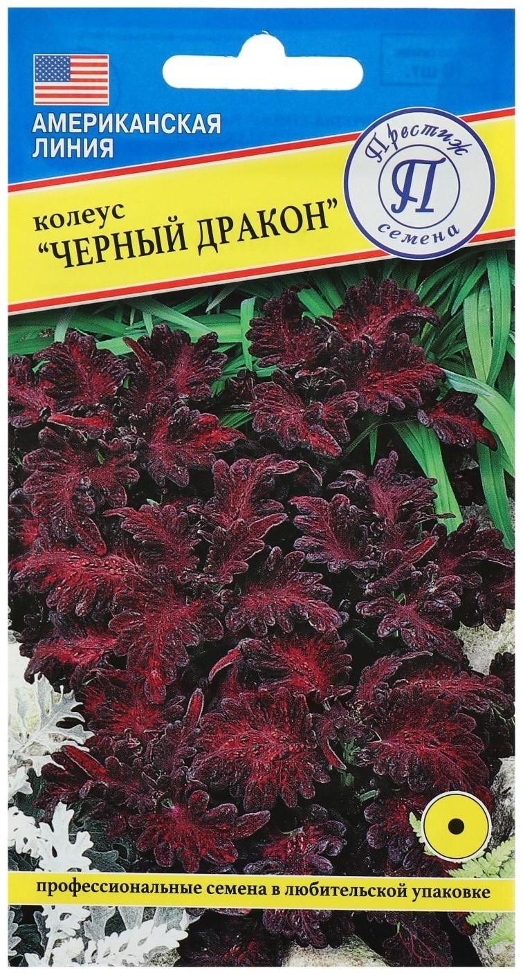 Семена цветов Колеус 