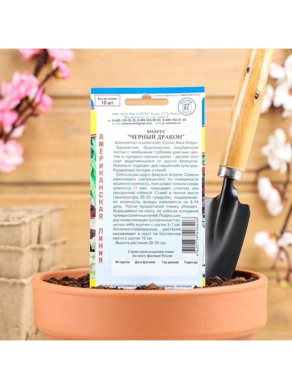 Семена цветов Колеус 