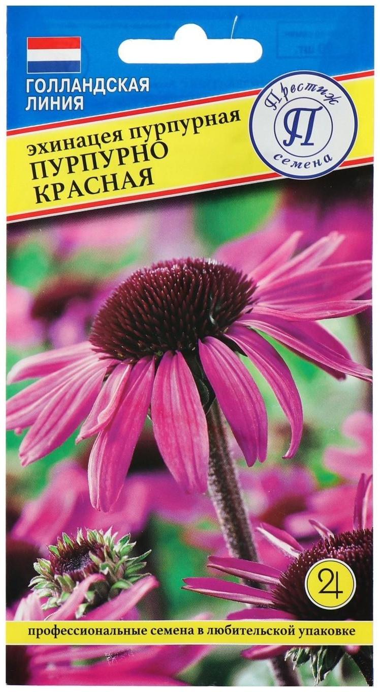 Семена цветов Эхинацея 