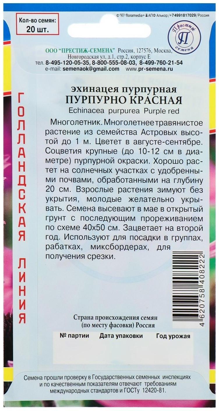 Семена цветов Эхинацея 