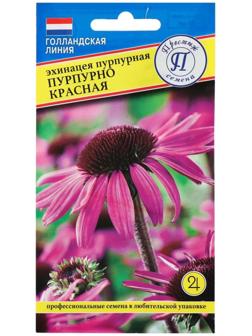 Семена цветов Эхинацея 