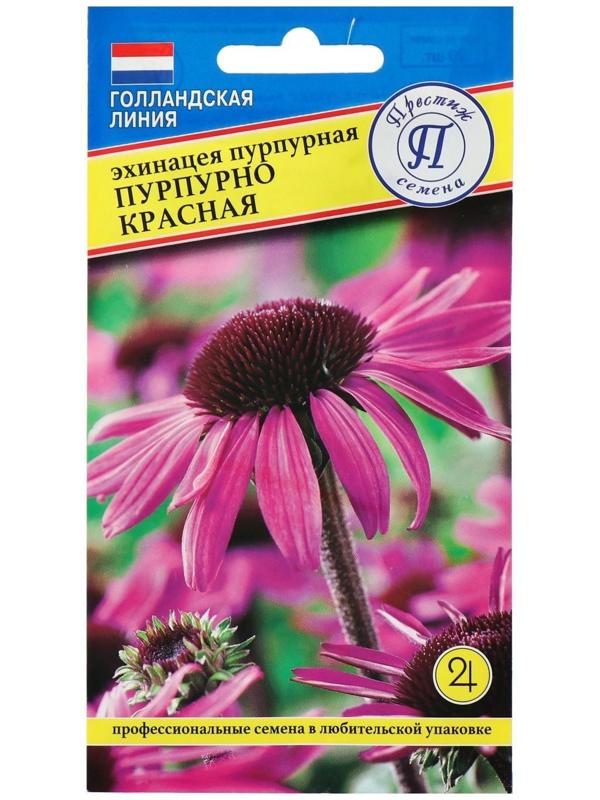 Семена цветов Эхинацея 