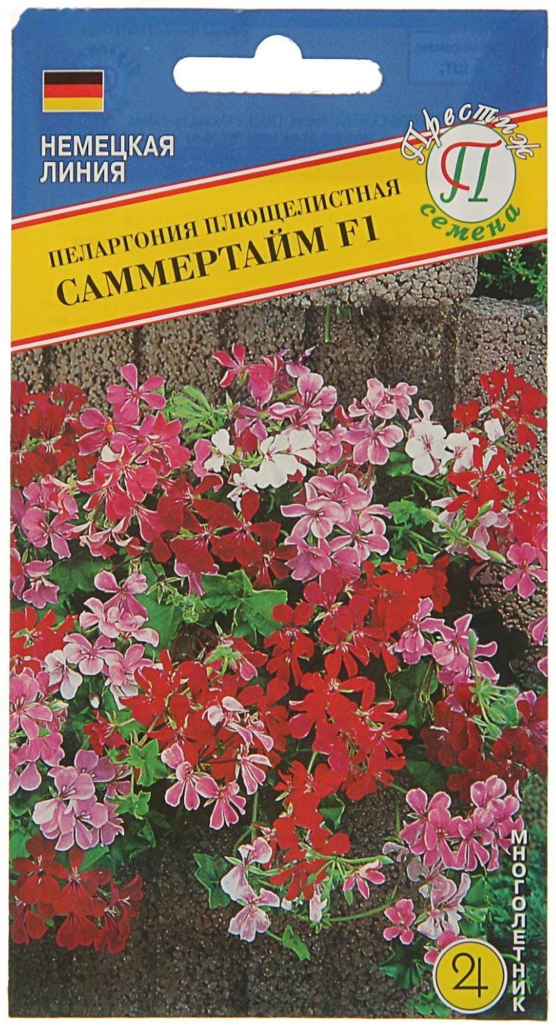 Семена комнатных цветов Пеларгония 