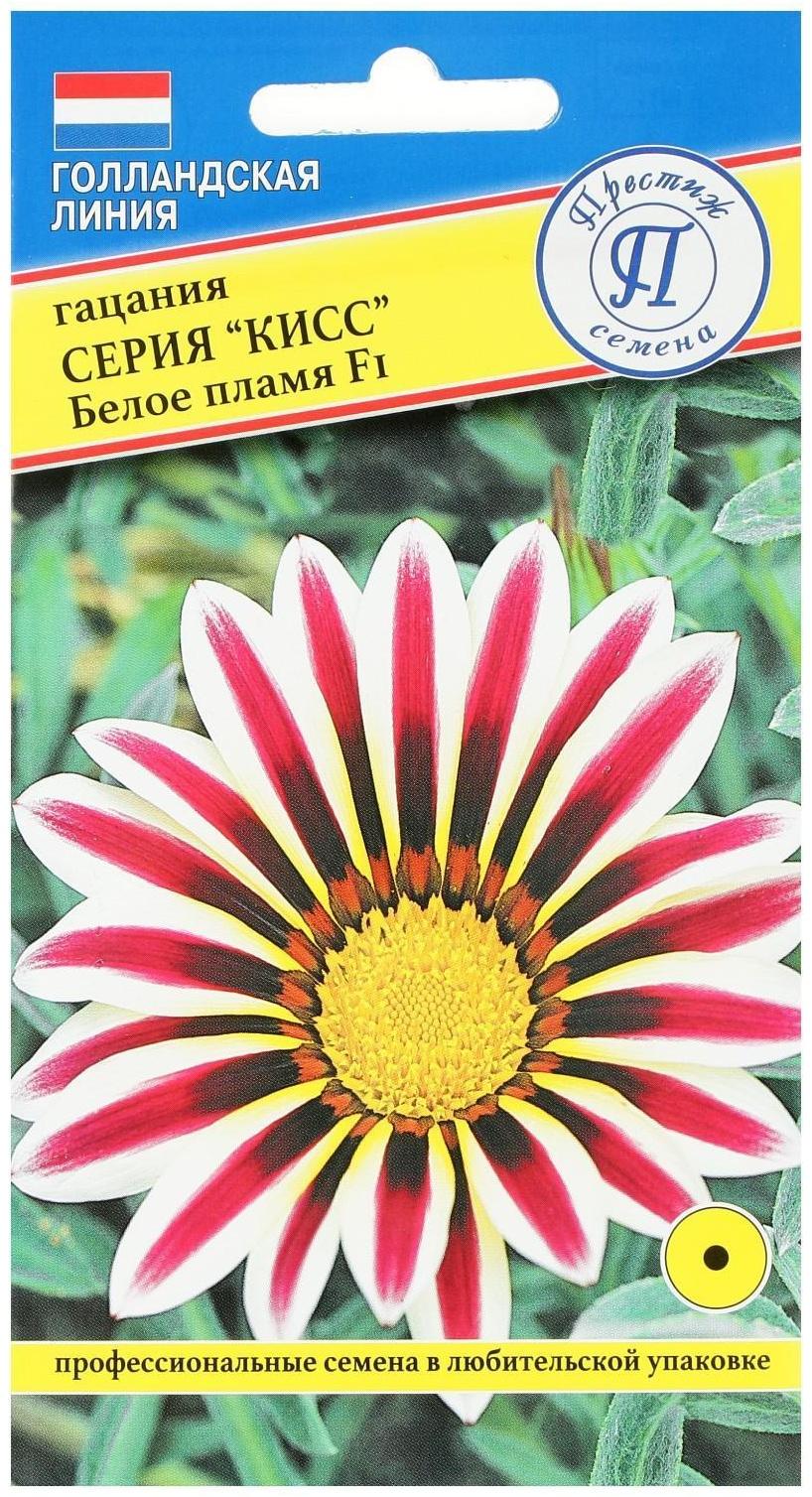 Семена цветов Гацания 